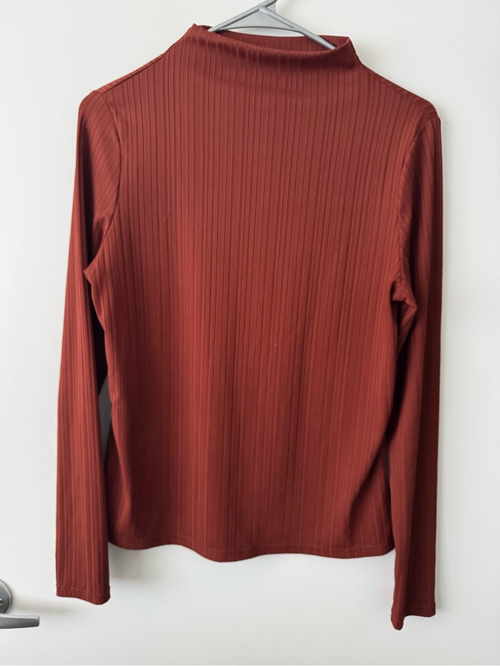 Ribbed Mock Neck Long-Sleeve Top in Rust
